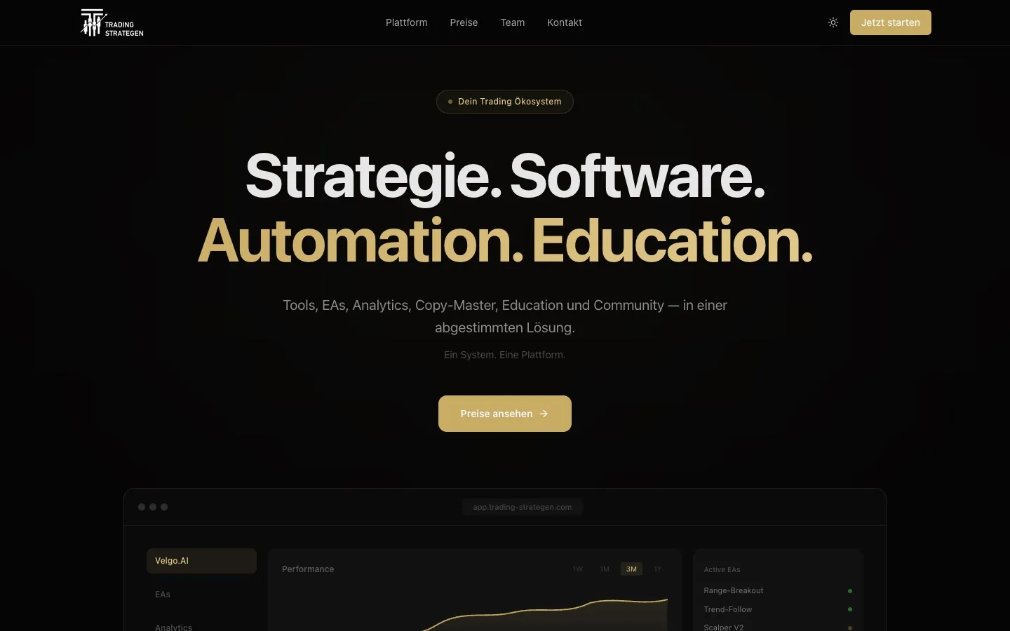 Dunkle Plattform-Website der Trading Strategen